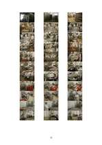 Referāts 'SIA "Triāls" - mārketinga pētījums', 12.