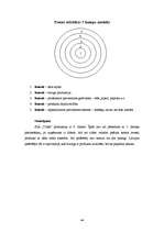 Referāts 'SIA "Triāls" - mārketinga pētījums', 44.