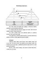 Referāts 'SIA "Triāls" - mārketinga pētījums', 45.