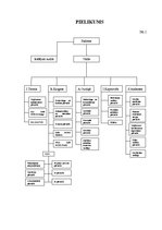 Prakses atskaite 'DnB NORD Bankas prakses atskaite', 29.