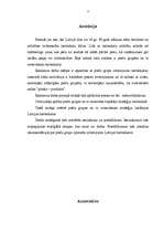 Referāts 'Preču grupu izvietošanas stratēģija lielveikalos', 3.