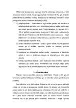 Referāts 'Preču grupu izvietošanas stratēģija lielveikalos', 17.