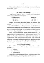 Referāts 'Preču grupu izvietošanas stratēģija lielveikalos', 30.