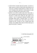 Referāts 'Preču grupu izvietošanas stratēģija lielveikalos', 42.