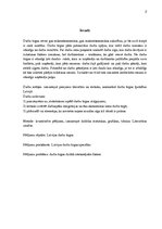 Referāts 'Darbaspēka tirgus īpatnības Latvijā', 2.