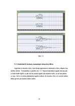 Diplomdarbs 'Skaņas signālu apstrāde', 40.