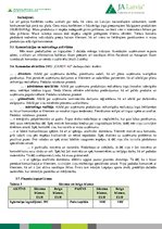 Konspekts 'Skolnu mācību uzņēmuma gada ziņojums', 5.