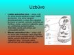 Prezentācija 'Asinsrites un limfrites orgānu sistēma', 8.