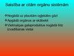 Prezentācija 'Asinsrites un limfrites orgānu sistēma', 9.