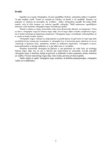 Referāts 'Vērtspapīri', 2.