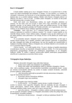 Referāts 'Vērtspapīri', 3.