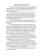 Eseja 'Cilvēka tiekšanās pēc laimes', 1.