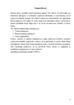 Biznesa plāns 'Biznesa plāns skaistumkopšanas salonam "Satīna"', 3.