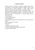 Biznesa plāns 'Biznesa plāns skaistumkopšanas salonam "Satīna"', 4.