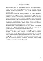 Biznesa plāns 'Biznesa plāns skaistumkopšanas salonam "Satīna"', 5.