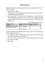 Biznesa plāns 'Biznesa plāns skaistumkopšanas salonam "Satīna"', 9.