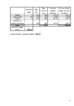 Biznesa plāns 'Biznesa plāns skaistumkopšanas salonam "Satīna"', 11.