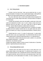 Referāts 'NaCl nozīme organismā un tā uzņemšana ar kartupeļu čipsiem', 4.