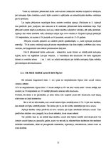 Referāts 'NaCl nozīme organismā un tā uzņemšana ar kartupeļu čipsiem', 12.