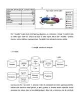 Referāts 'SIA "Iecavnieks" produkta apraksts', 13.