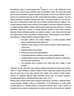 Referāts 'SIA "Iecavnieks" produkta apraksts', 22.