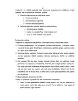 Referāts 'SIA "Iecavnieks" produkta apraksts', 24.