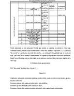 Referāts 'SIA "Iecavnieks" produkta apraksts', 33.