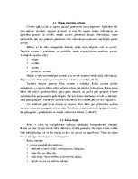 Referāts 'Telpas krāsojuma jauniešu izvēles', 6.