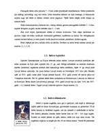 Referāts 'Bebru ietekme uz ekosistēmu Smiltenē', 5.