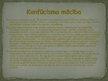 Prezentācija 'Konfūcisms', 3.