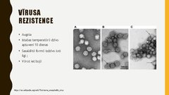 Prezentācija 'Ērču encefalīta diagnostikas principi', 5.