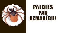 Prezentācija 'Ērču encefalīta diagnostikas principi', 14.