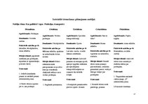 Prakses atskaite 'Prakse pirmsskolā', 17.