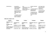 Prakses atskaite 'Prakse pirmsskolā', 18.