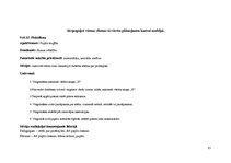 Prakses atskaite 'Prakse pirmsskolā', 21.