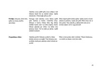 Prakses atskaite 'Prakse pirmsskolā', 25.