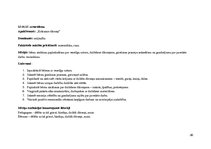 Prakses atskaite 'Prakse pirmsskolā', 26.