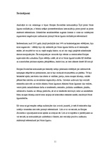 Referāts 'Eiropas Savienības komunikācija Īrijā pirms Nicas līguma ratifikācijas referendu', 11.