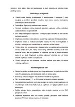 Referāts 'Mārketinga plāns ūdens relaksācijas centram', 3.