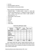 Referāts 'Mārketinga plāns ūdens relaksācijas centram', 6.