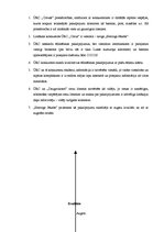 Referāts 'Mārketinga plāns ūdens relaksācijas centram', 7.