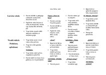 Konspekts 'Darba plāns jaunākajai grupai', 2.