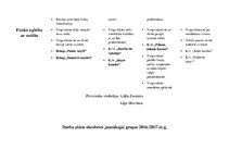 Konspekts 'Darba plāns jaunākajai grupai', 4.