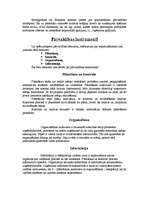 Konspekts 'Pārvaldība', 8.