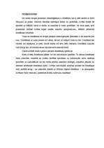 Referāts 'Domāšana', 8.