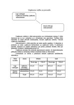 Biznesa plāns 'Biznesa plāns ekonomikā', 3.