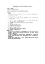 Paraugs 'Integrētā nodarbība ar mūzikas dominanti', 1.