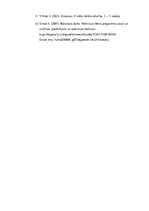 Referāts 'Videospēļu satura veidotāja komunikācija sociālajā medijā YouTube: kultivācijas ', 12.