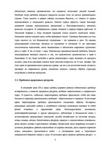 Referāts 'Глобализация мировой экономики: причины и следствия', 8.