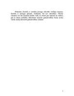 Referāts 'Finanšu grāmatvedības teorija', 5.